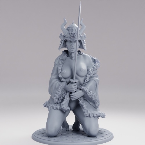 Picture of Samurai Girl F