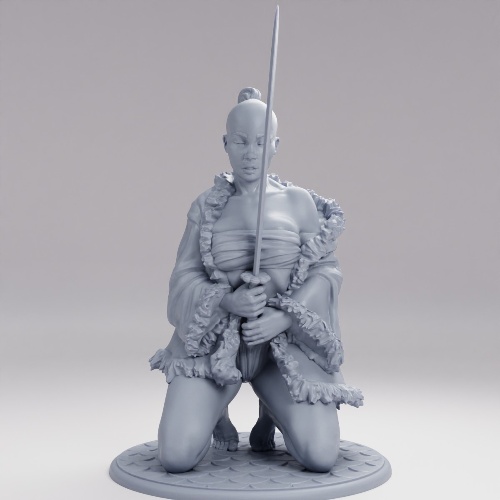 Picture of Samurai Girl H