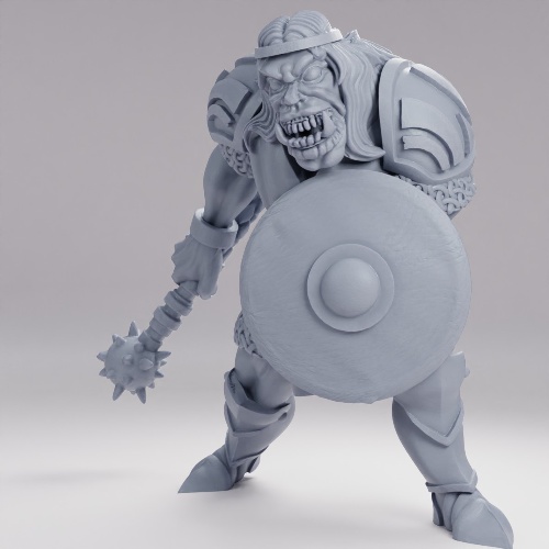 Picture of Cleric Half Orc