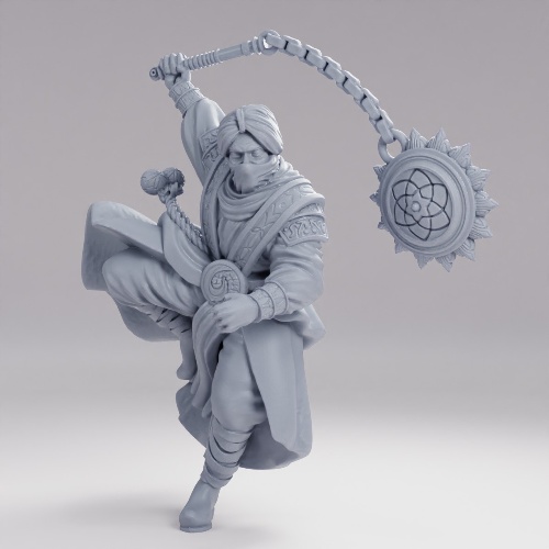 Picture of Desert Marauder B