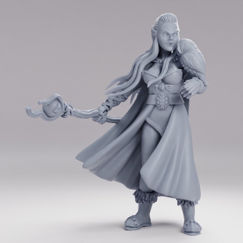 Picture of Druid Female With Staff
