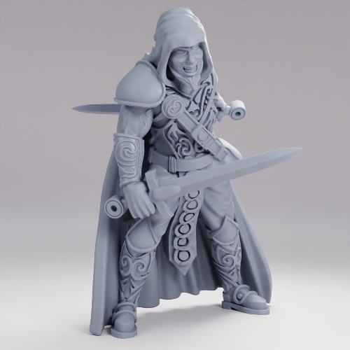 Picture of Male Thief Dual Swords
