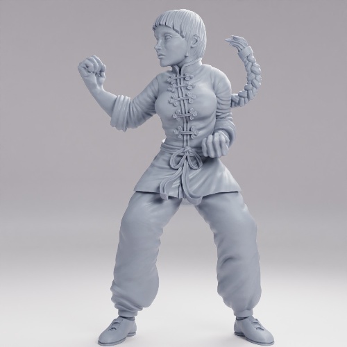 Picture of Martial Arts Teacher Xin