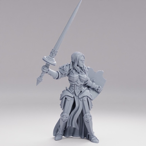 Picture of Paladin Lancer