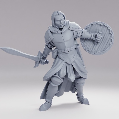 Picture of Warrior Knight Hairstyle A
