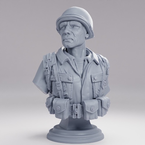 Picture of American Soldier Bust