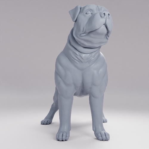 Picture of Dog Pose B