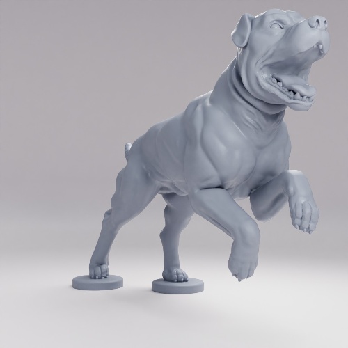 Picture of Dog Pose C