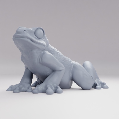 Picture of Giant Frog B