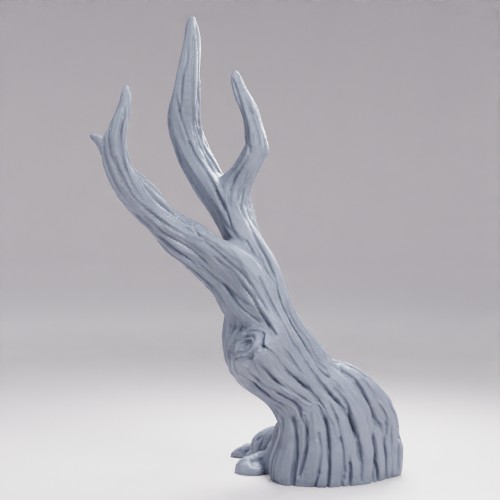 Picture of Tree D