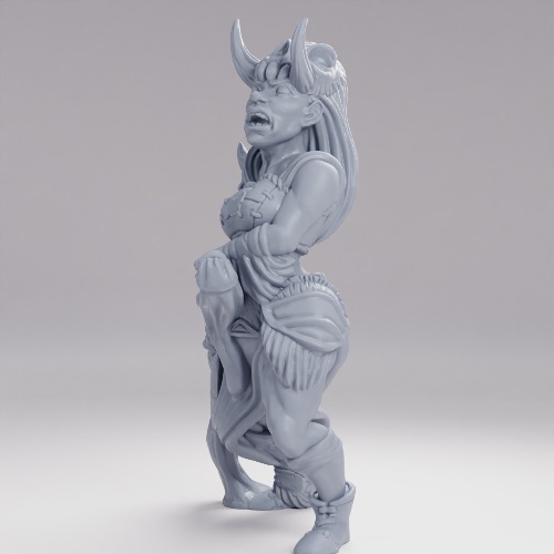 Picture of Barbarian Human Female