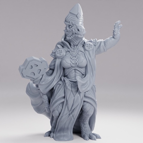 Picture of Cleric Dragonkin Female
