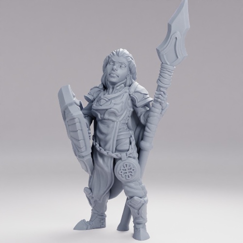 Picture of Cleric Human Female