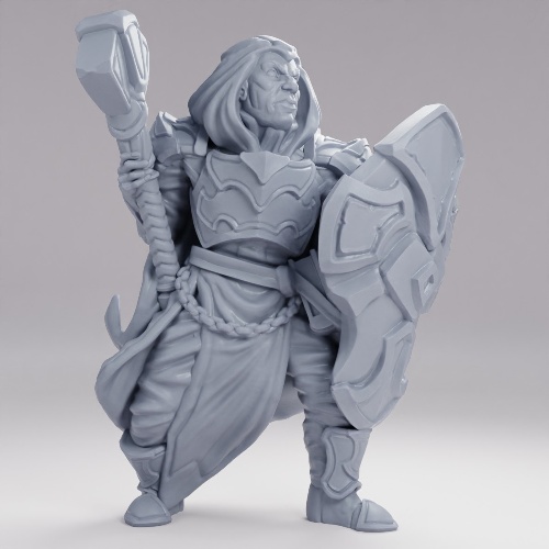 Picture of Cleric Human Male