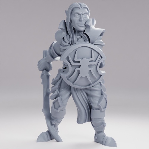 Picture of Dark ELf Warrior Sword And Shield