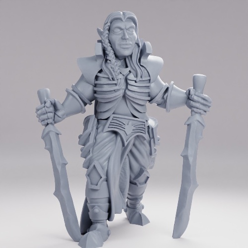 Picture of Dark Elf Warrior Dual Wielder