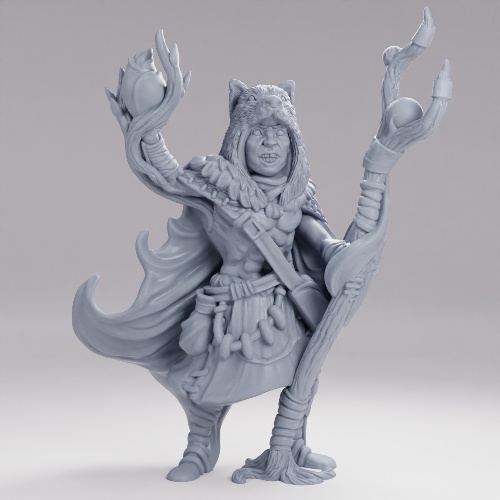 Picture of Druid Human Male
