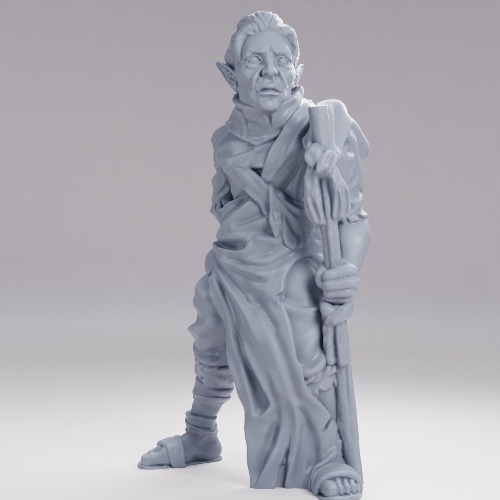 Picture of Elf Male Wanderer