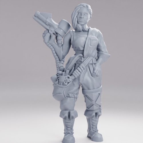 Picture of Female Mechanic