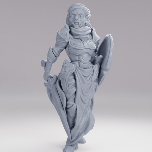 Picture of Paladin Halforc Female