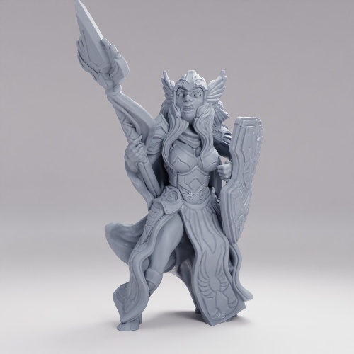 Picture of Paladin Human Female