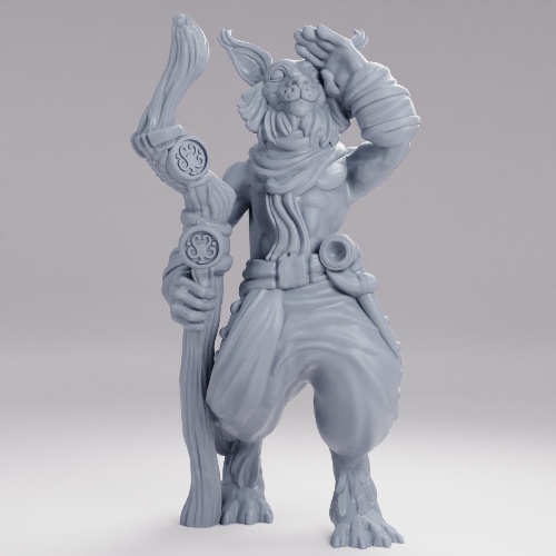 Picture of Tabaxi Guide