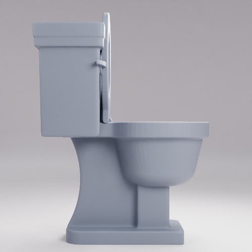 Picture of Toilet