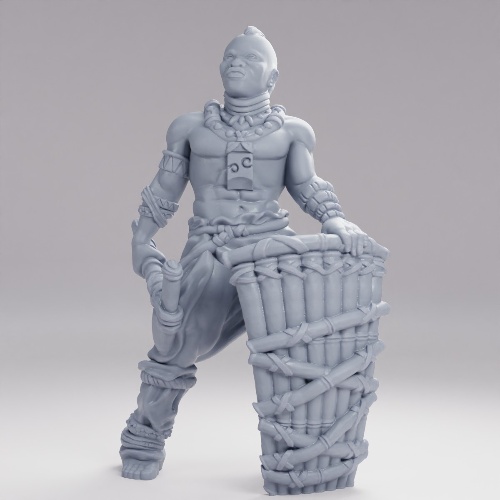 Picture of Tribe Warrior