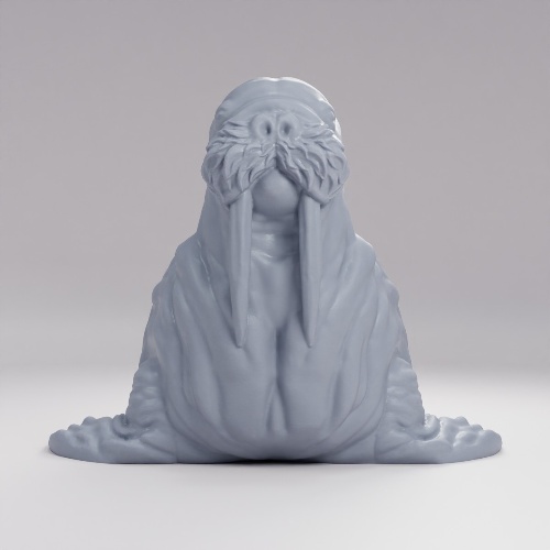 Picture of Walrus