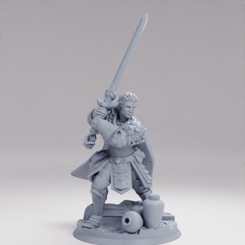 Picture of Long Sword Knight