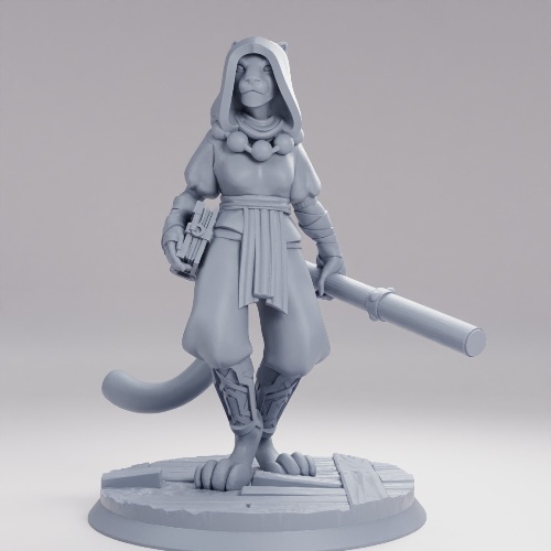 Picture of Tabaxi Monk