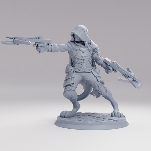 Picture of Tabaxi Rogue