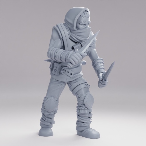 Picture of Bandit Rogue