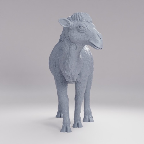 Picture of Camel