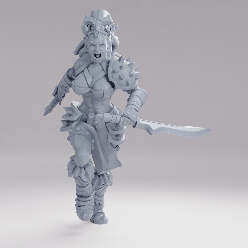 Picture of Dark Elf Barbarian Running