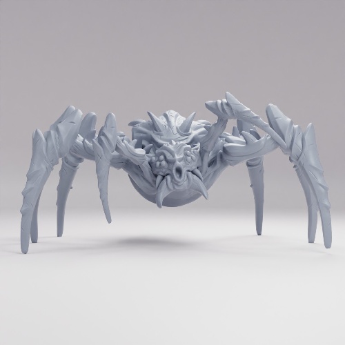 Picture of Desert Spider
