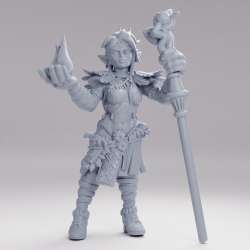 Picture of Elf Druid Player Character