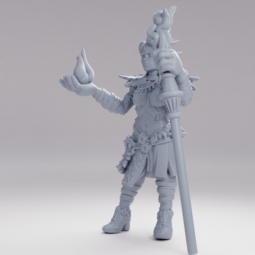 Picture of Elf Druid