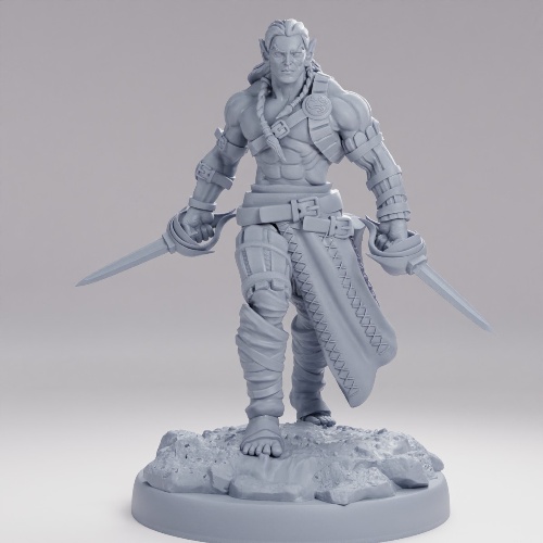 Picture of Elven Barbarian On Base