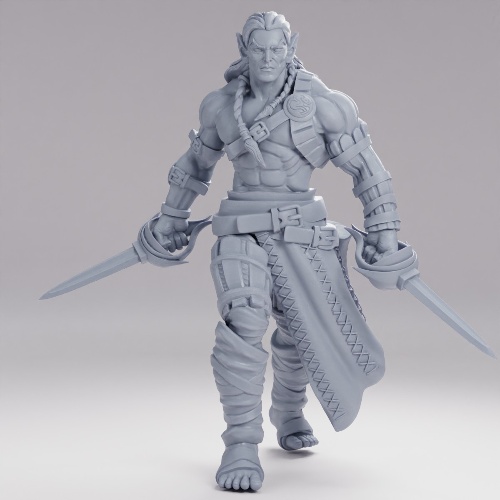 Picture of Elven Barbarian