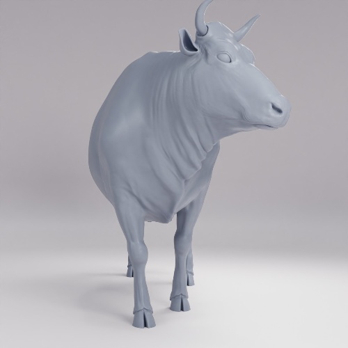Picture of Farm Animal Cow