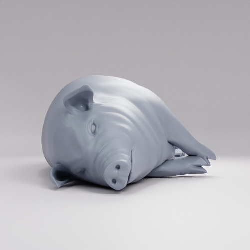 Picture of Farm Animal Pig Lying