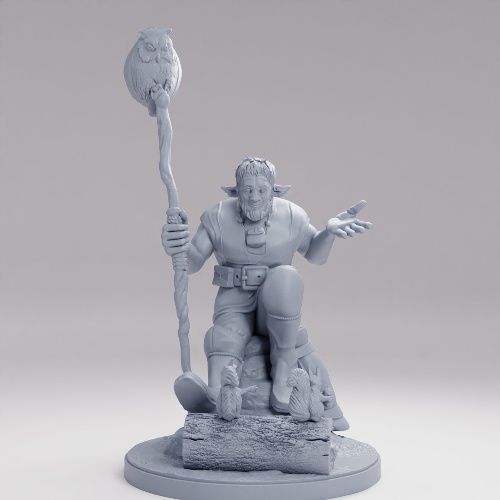 Picture of Firbolg Druid Talking