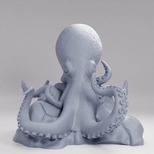 Picture of Giant Octopus Nest