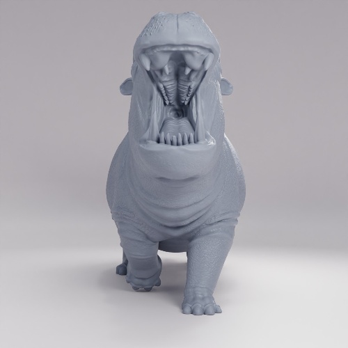Picture of Hippo Angry