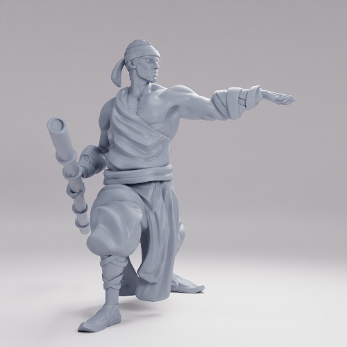 Picture of Martial Arts Monk Provoke