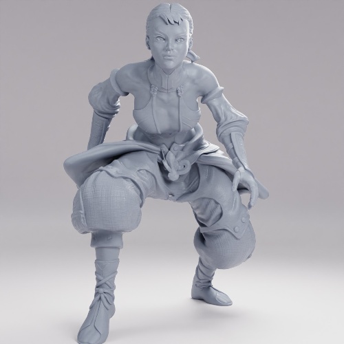 Picture of Monk Adventurer Female Hide