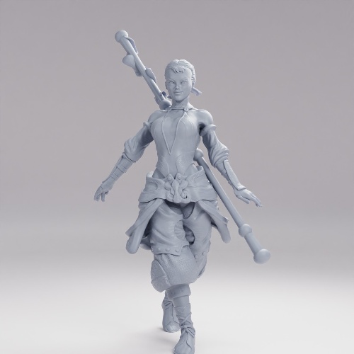 Picture of Monk Adventurer Female