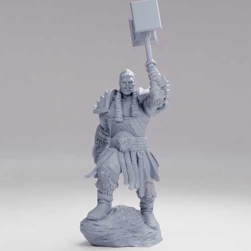 Picture of Orc Paladin Player Character