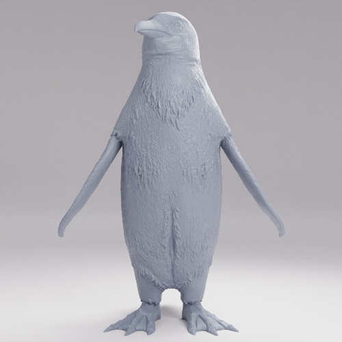 アークティック・ペンギン（極地のペンギン） の画像